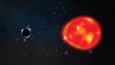Фото - В космосе обнаружен «Единорог» – ближайшая к Земле черная дыра