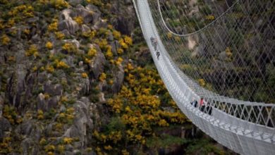 Фото - В Португалии открыт самый длинный висячий мост на высоте 175 метров