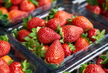 Фото - Врач назвал снижающую риск возникновения нескольких видов рака ягоду
