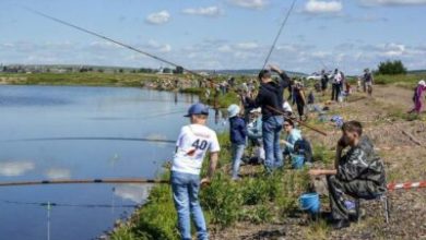 Фото - Детский рыболовный фестиваль «В гостях у карпа»