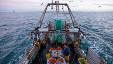 Фото - Евросоюз и Британия передумали ссориться из-за рыбы