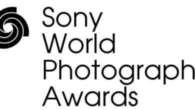 Фото - Фотоконкурсы, Sony World Photography Awards 2022