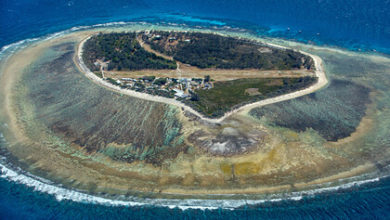 Фото - Коралловый риф размером с Японию оказался в шаге от гибели