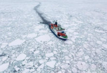 Фото - Лед в прибрежных районах Арктики стал вдвое тоньше. Чем это грозит?