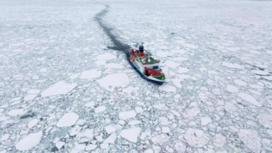 Фото - Лед в прибрежных районах Арктики стал вдвое тоньше. Чем это грозит?