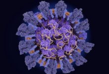 Фото - Лямбда, Дельта плюс и другие варианты коронавируса. Что нужно знать?