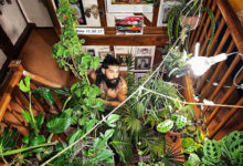 Фото - Мужчина посадил дома сотни растений и превратил его в джунгли