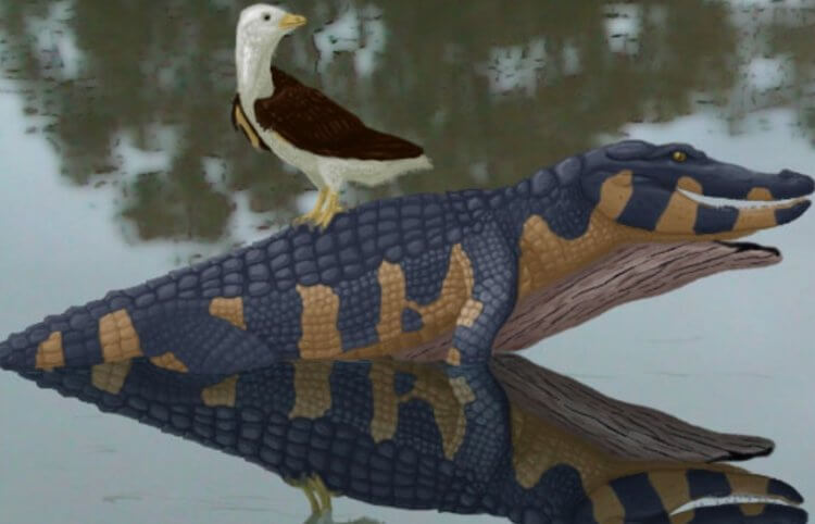 Найден скелет крошечной птицы с головой опасного динозавра