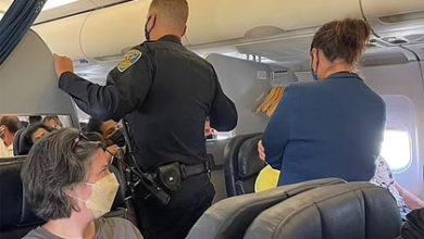 Фото - Пассажиры самолета подрались из-за подлокотника и спровоцировали споры в сети