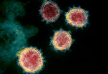 Фото - Подсчитана масса всех вызывающих COVID-19 коронавирусов