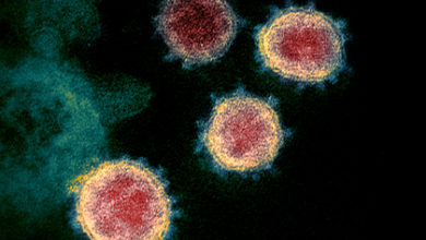 Фото - Подсчитана масса всех вызывающих COVID-19 коронавирусов
