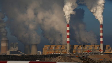 Фото - Польша под давлением ЕС согласилась закрыть крупнейшую электростанцию