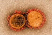 Фото - Разработан новый подавляющий коронавирус препарат