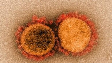 Фото - Разработан революционный способ лечения коронавируса с помощью наноловушек
