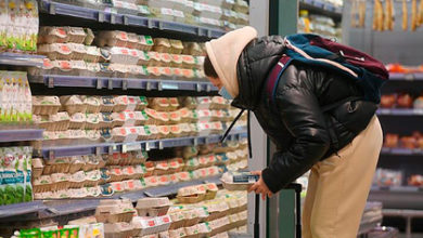 Фото - Российские власти призвали повысить цены на яйца