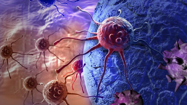 Шотландские ученые изобрели способ, с помощью которого можно убивать раковые клетки