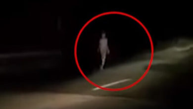 Фото - Странный инопланетянин прогулялся по дороге