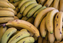 Фото - Турист пытался провезти наркотики под видом бананов и попался в аэропорту