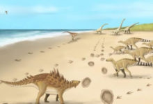 Фото - Ученые нашли окаменелые следы крупных динозавров. Почему это интересно?