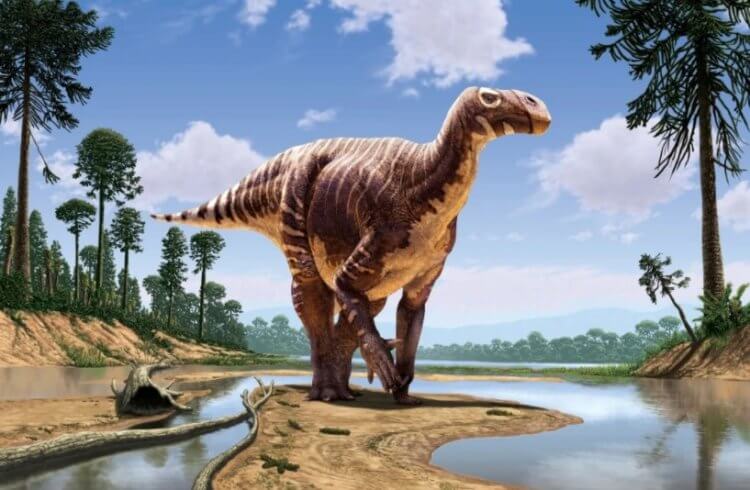 Ученые нашли окаменелые следы крупных динозавров. Почему это интересно?
