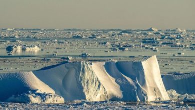 Фото - Ученые предупреждают – точка невозврата для Арктики, возможно, уже пройдена