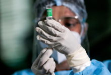 Фото - В Индии появился новый штамм коронавируса