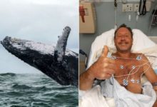 Фото - В США мужчина был проглочен китом. Как ему удалось выжить?