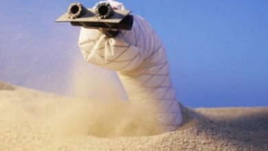 Фото - В США разработан робот-червь, передвигающийся под землей. Зачем он нужен?