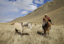 Фото - Вакцинированные россияне смогут посетить Монголию