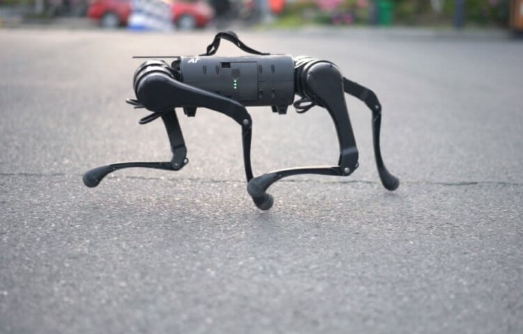 Вы можете купить личного робота-собаку всего за 2 700 долларов. Что он умеет?
