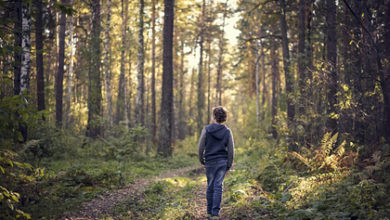 Фото - Британский школьник пройдет сотни километров ради спасения планеты: Климат и экология: Среда обитания