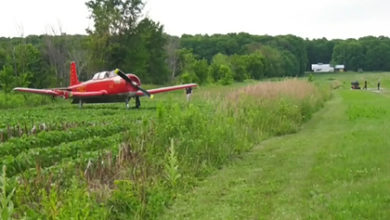 Фото - Частный самолет заходил на посадку и насмерть сбил косившую траву женщину