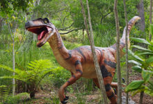 Фото - Доказан упадок динозавров задолго до падения астероида