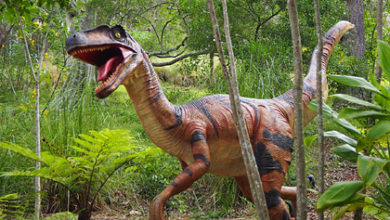 Фото - Доказан упадок динозавров задолго до падения астероида