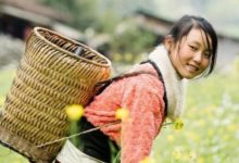 Фото - Фермеры Китая используют TikTok, чтобы стать миллионерами