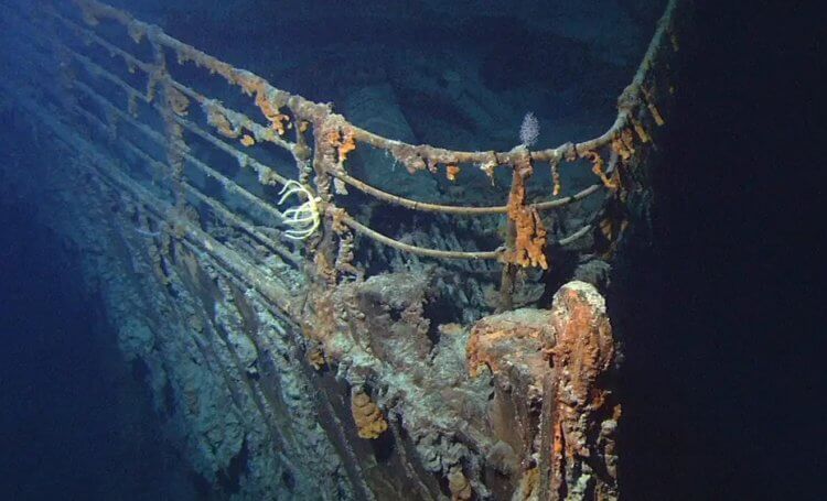 Как выглядит «Титаник» сегодня? Ученые хотят возобновить его изучение