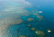 Фото - Китай заподозрили в угрозе крупнейшему коралловому рифу: Климат и экология: Среда обитания