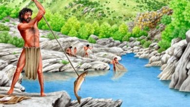 Фото - Когда и как древние люди начали рыбачить?