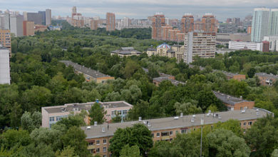 Фото - Москва стала чище: Климат и экология: Среда обитания
