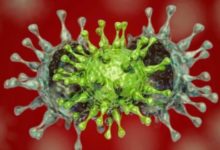 Фото - Насколько опасен новый штамм коронавируса Дельта Плюс?
