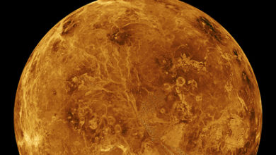 Фото - Объяснена загадка признаков жизни на Венере