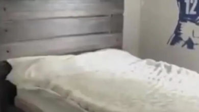 Фото - Передвинув кровать сына-подростка, мама сделала открытие, которое её шокировало