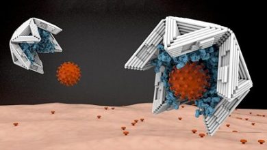 Фото - Разработаны захватывающие и нейтрализующие вирусы нанокапсулы