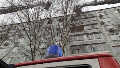 Фото - Россияне рассказали о проблемах во время отсутствия в квартире: Среда обитания