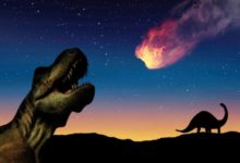 Фото - Выжили бы динозавры, если бы на Землю не упал астероид?