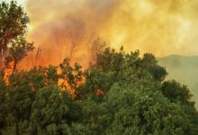 Фото - Дым от лесных пожаров повышает смертность от Covid-19