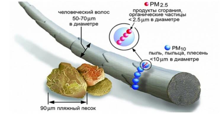 Дым от лесных пожаров повышает смертность от Covid-19