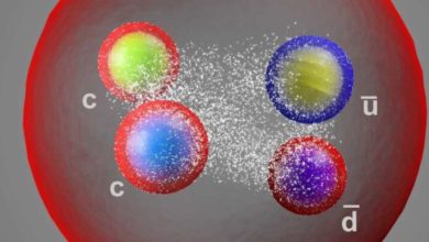 Фото - Физики открыли новую элементарную частицу – тетракварк