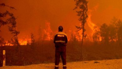 Фото - Какие климатические последствия повлекут за собой пожары в Сибири?