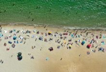 Фото - Купающиеся разбежались из воды из-за таинственного крупного существа